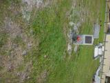 image of grave number 760983